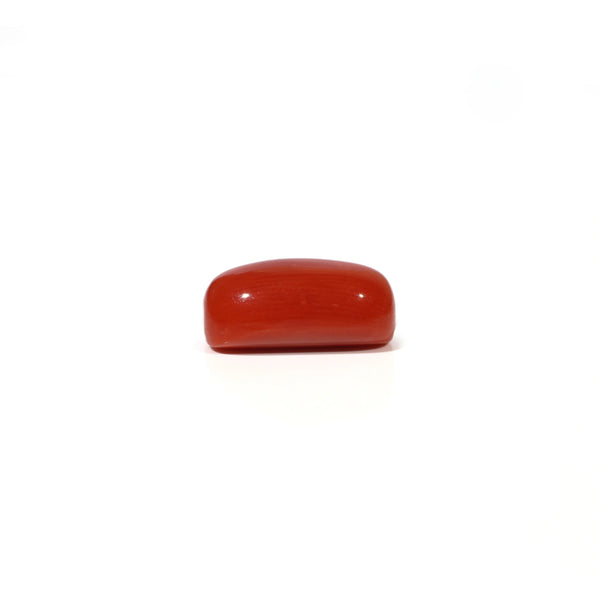 Red Coral - 4.88 Carat