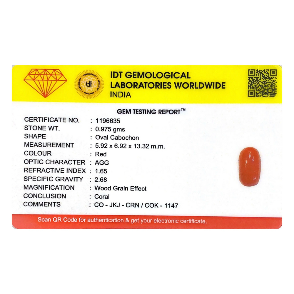 Red Coral - 4.88 Carat