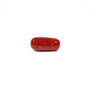 Red Coral - 4.61 Carat - Pramogh