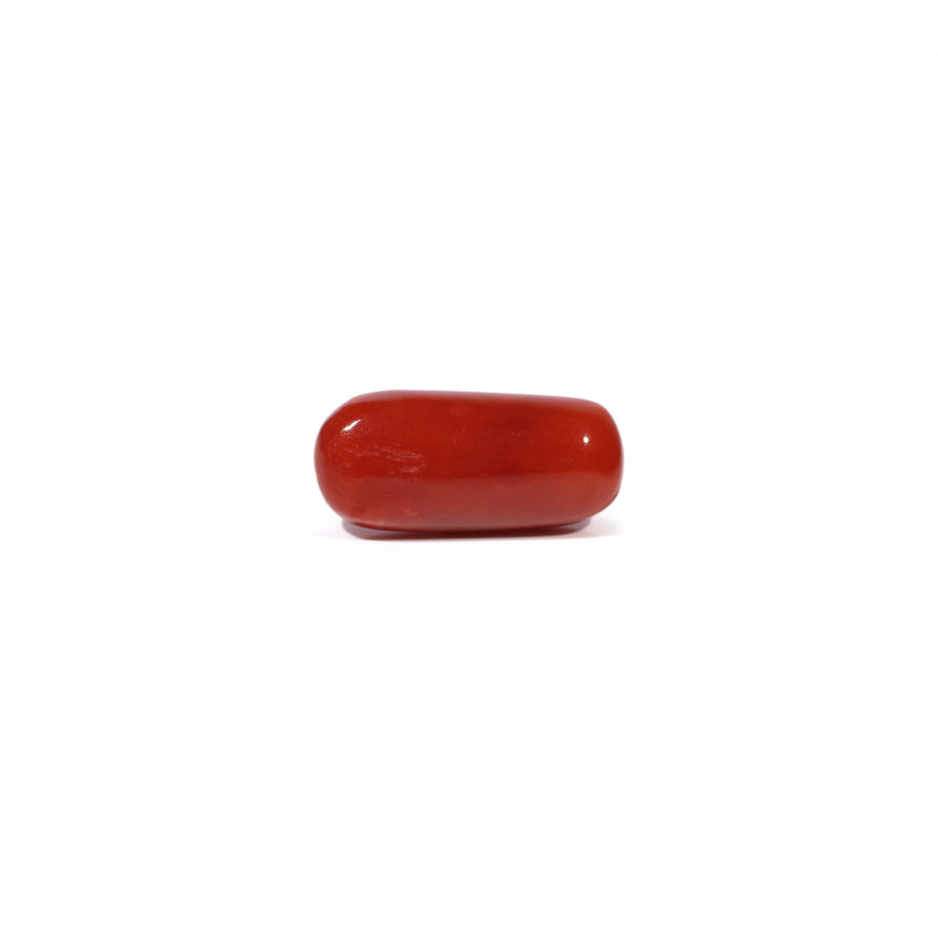 Red Coral - 4.61 Carat