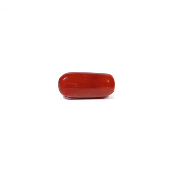 Red Coral - 4.61 Carat
