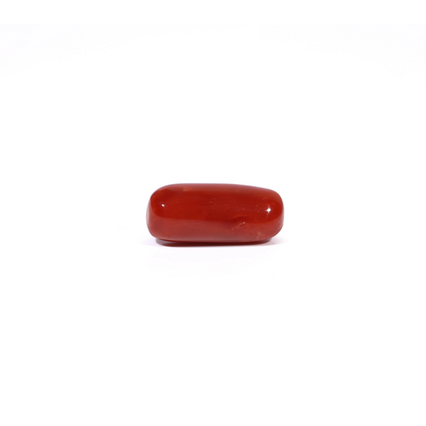 Red Coral - 4.61 Carat
