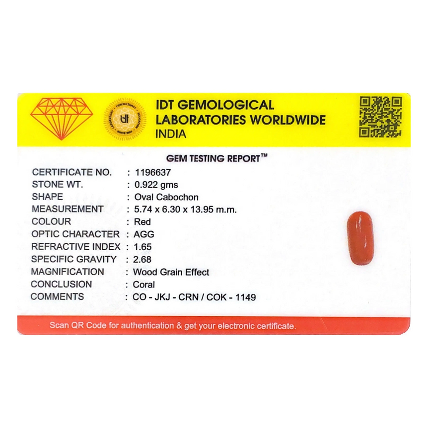 Red Coral - 4.61 Carat