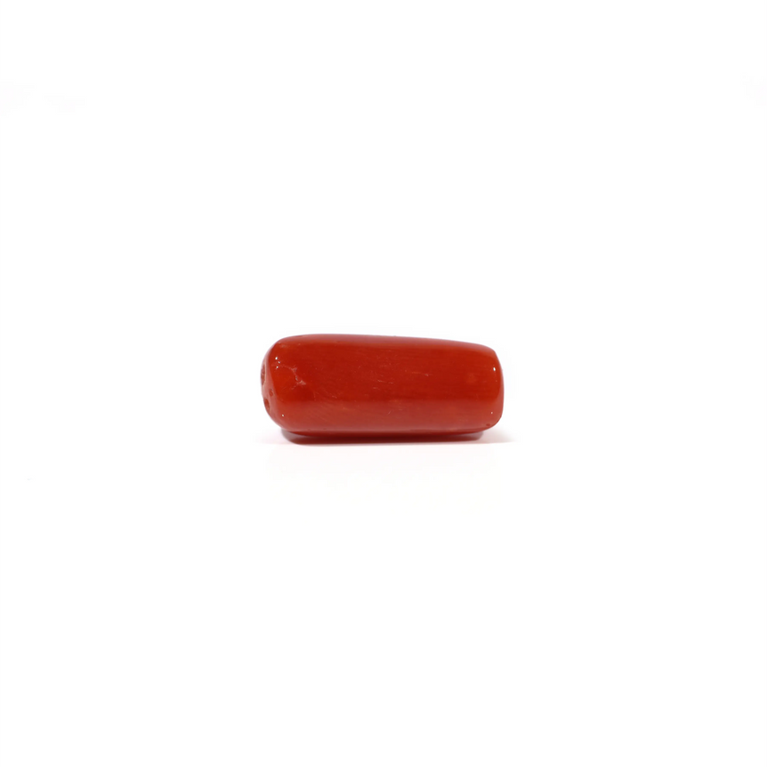 Red Coral - 4.8 Carat