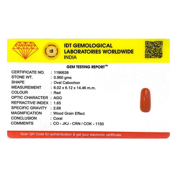 Red Coral - 4.8 Carat