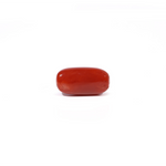 Red Coral - 4.51 Carat