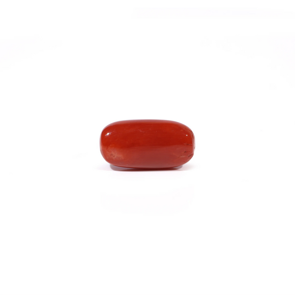 Red Coral - 4.51 Carat
