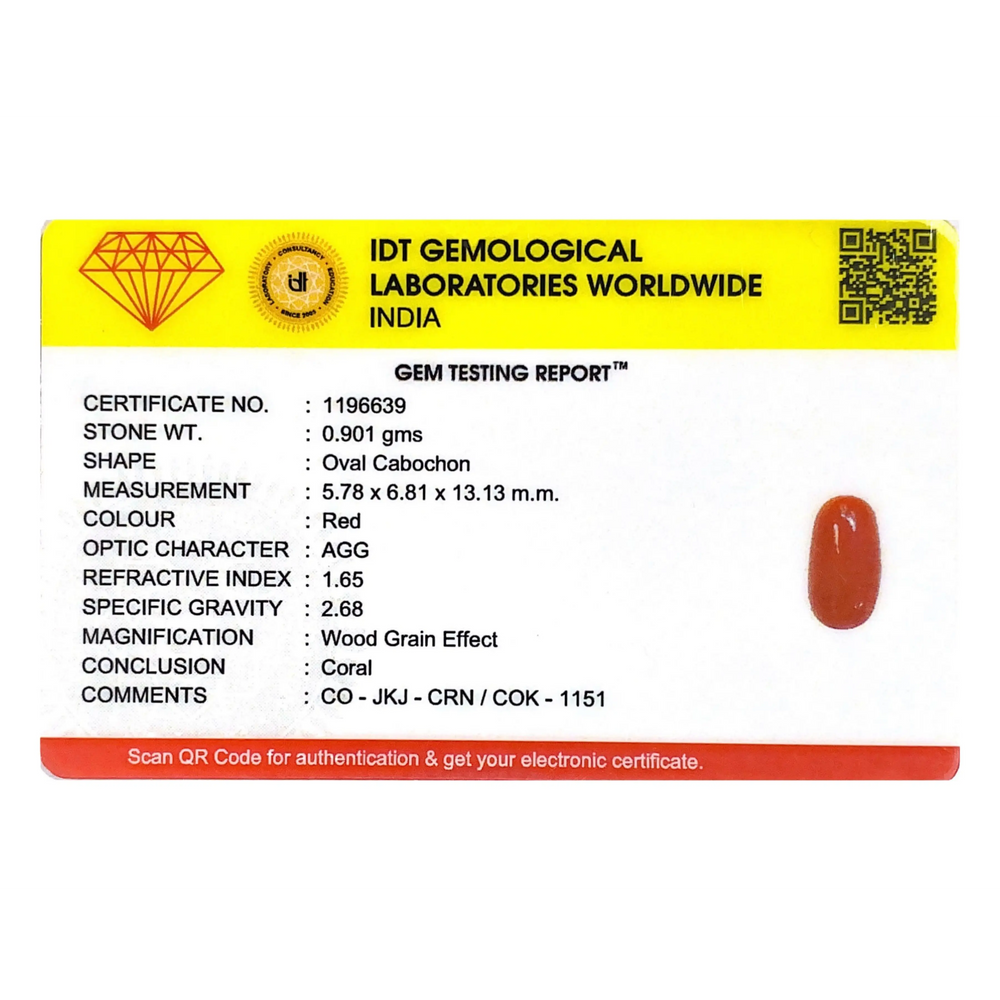Red Coral - 4.51 Carat