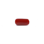 Red Coral - 4.8 Carat