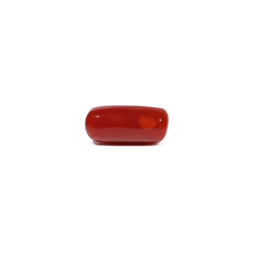 Red Coral - 5.31 Carat - Pramogh