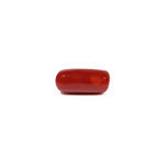 Red Coral - 5.31 Carat - Pramogh