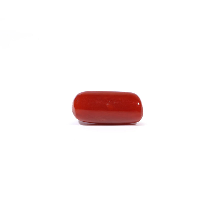 Red Coral - 5.31 Carat
