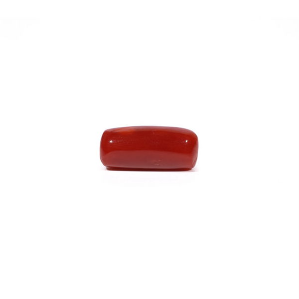 Red Coral - 5.31 Carat