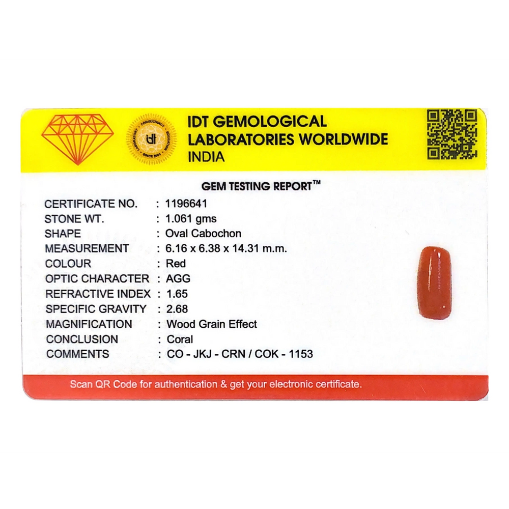 Red Coral - 5.31 Carat