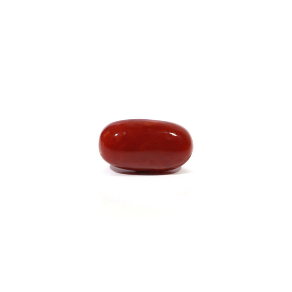 Red Coral - 4.53 Carat - Pramogh