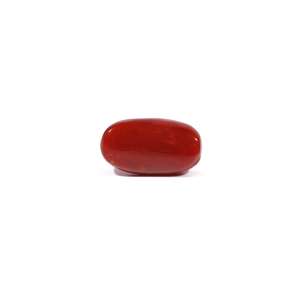 Red Coral - 4.53 Carat