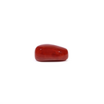 Red Coral - 4.53 Carat