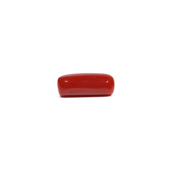 Red Coral - 4.64 Carat