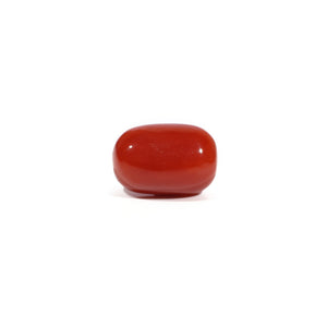 Red Coral - 4.66 Carat - Pramogh