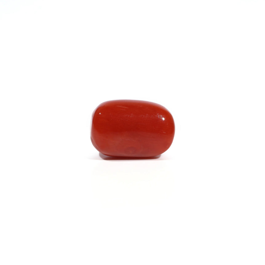 Red Coral - 4.66 Carat