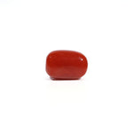 Red Coral - 4.66 Carat
