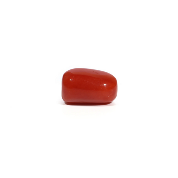 Red Coral - 4.66 Carat