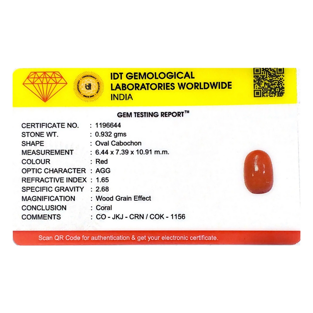 Red Coral - 4.66 Carat