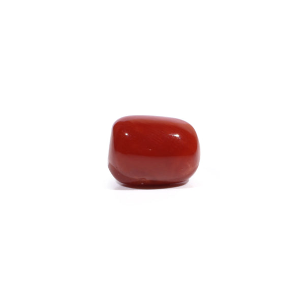 Red Coral - 5.13 Carat - Pramogh