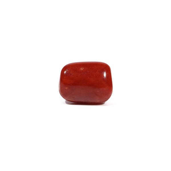 Red Coral - 5.13 Carat