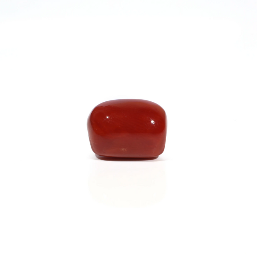 Red Coral - 5.13 Carat