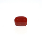 Red Coral - 5.13 Carat