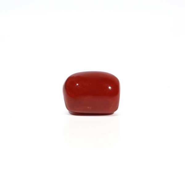 Red Coral - 5.13 Carat
