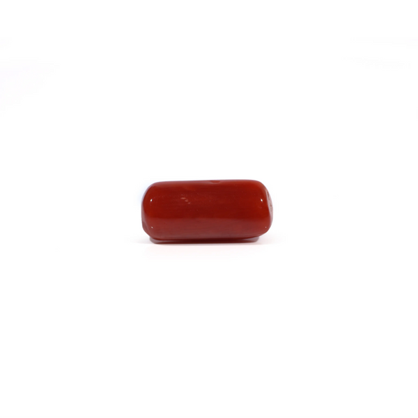 Red Coral - 4.58 Carat