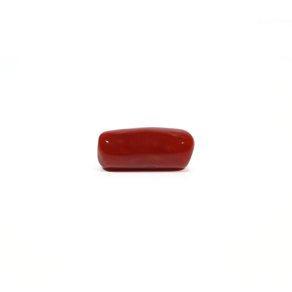 Red Coral - 4.58 Carat