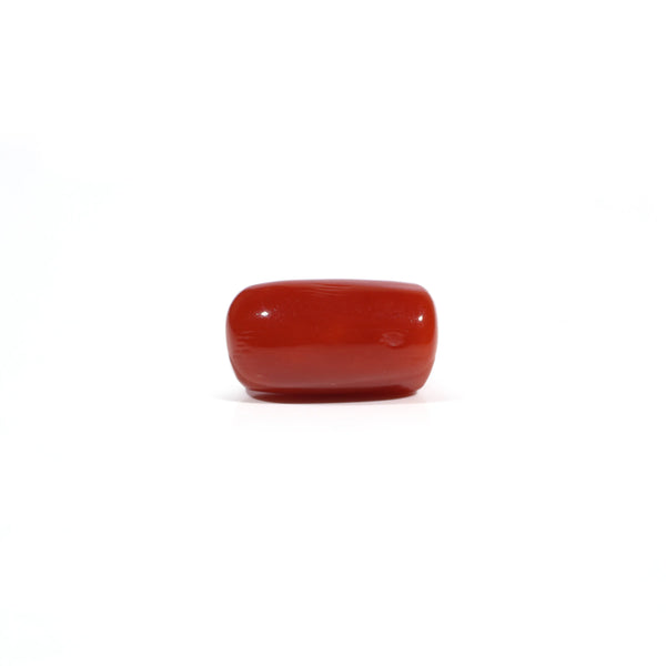 Red Coral - 5.68 Carat - Pramogh