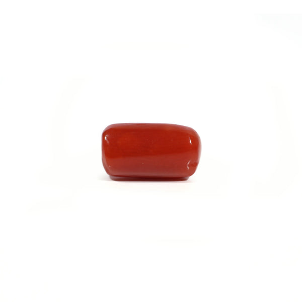 Red Coral - 5.68 Carat