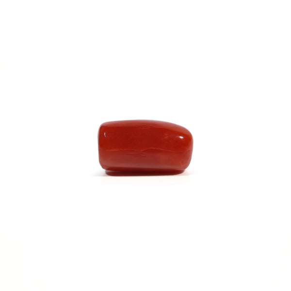 Red Coral - 5.68 Carat