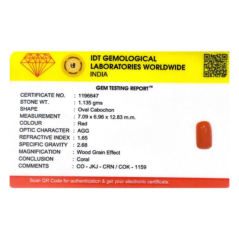 Red Coral - 5.68 Carat