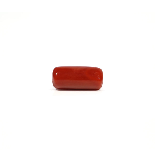 Red Coral - 4.8 Carat - Pramogh