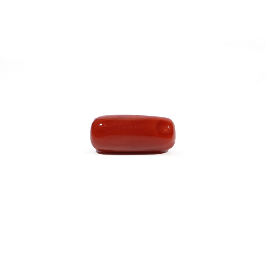 Red Coral - 4.8 Carat
