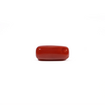 Red Coral - 4.8 Carat