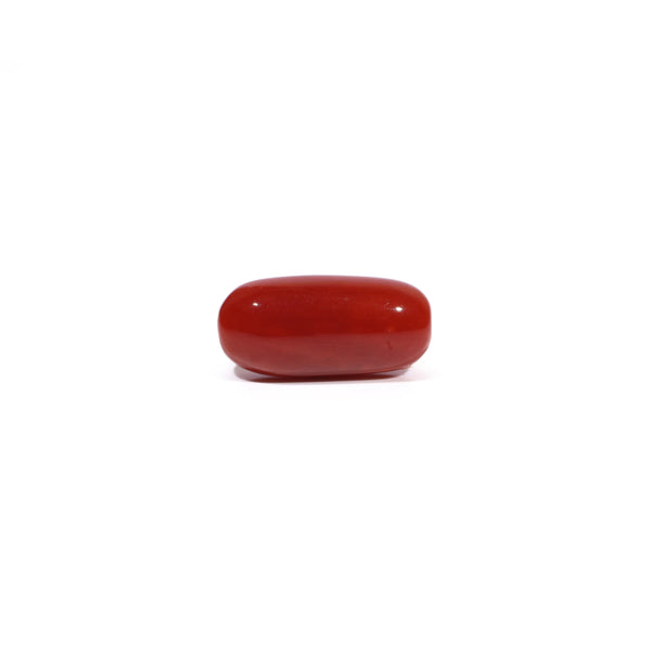 Red Coral - 4.59 Carat - Pramogh
