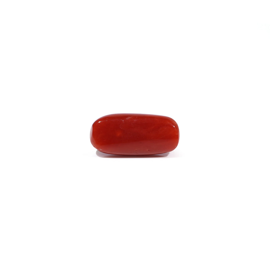 Red Coral - 4.59 Carat