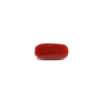 Red Coral - 4.59 Carat