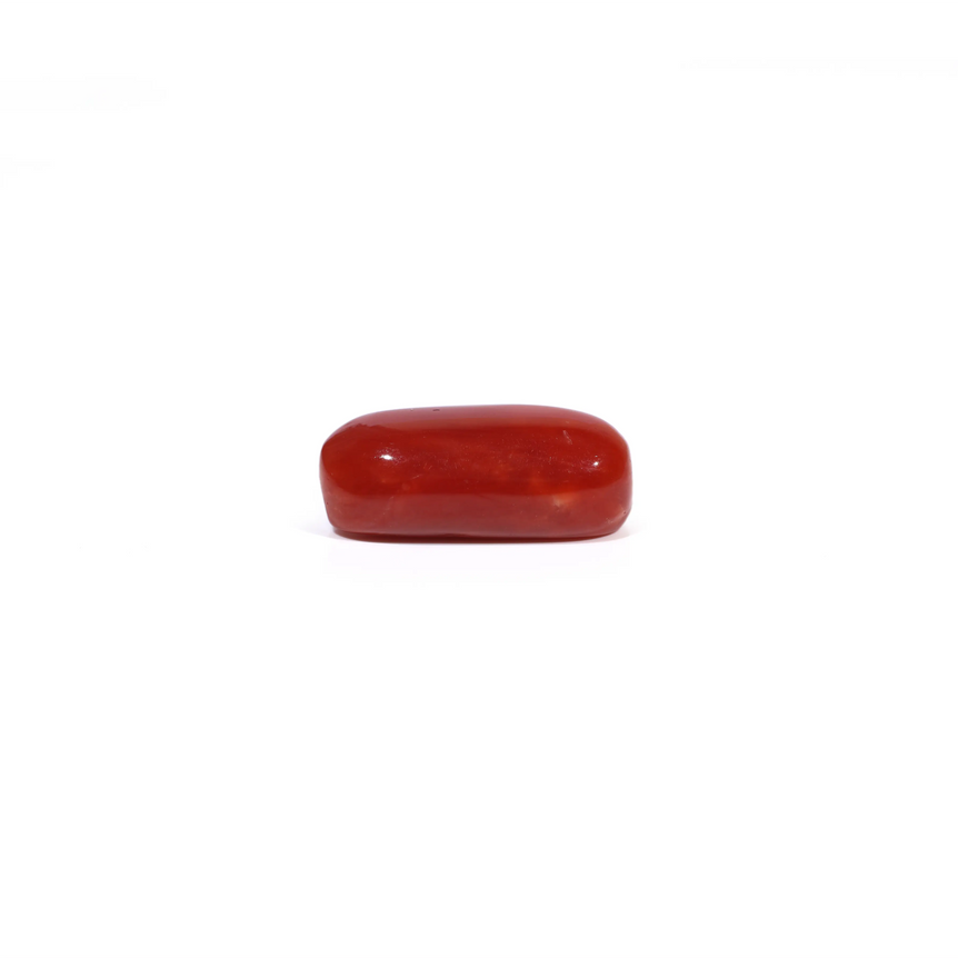 Red Coral - 4.59 Carat