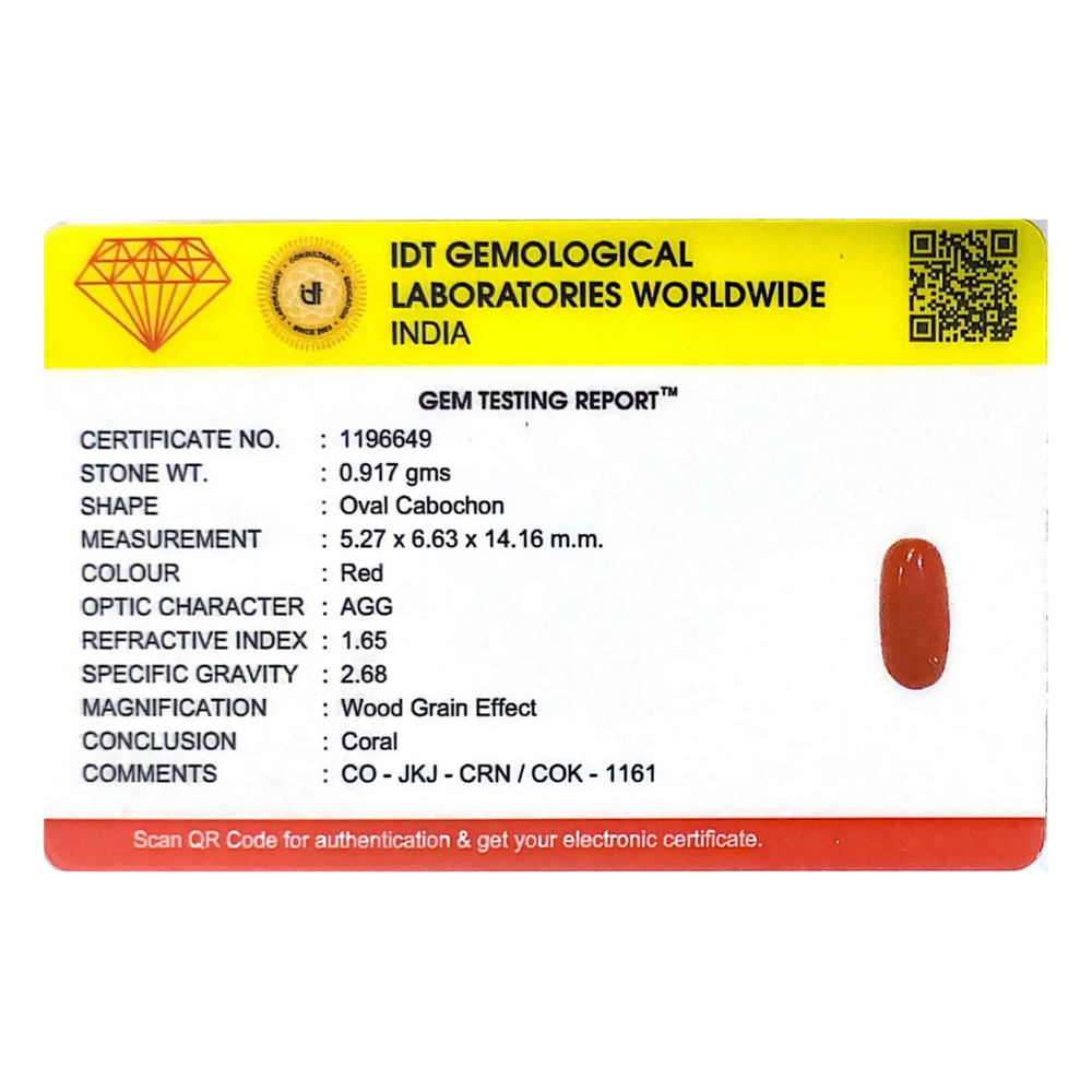 Red Coral - 4.59 Carat