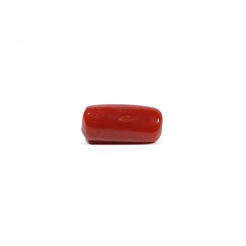 Red Coral - 5.14 Carat - Pramogh