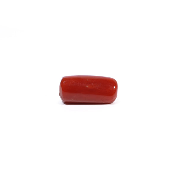 Red Coral - 5.14 Carat - Pramogh