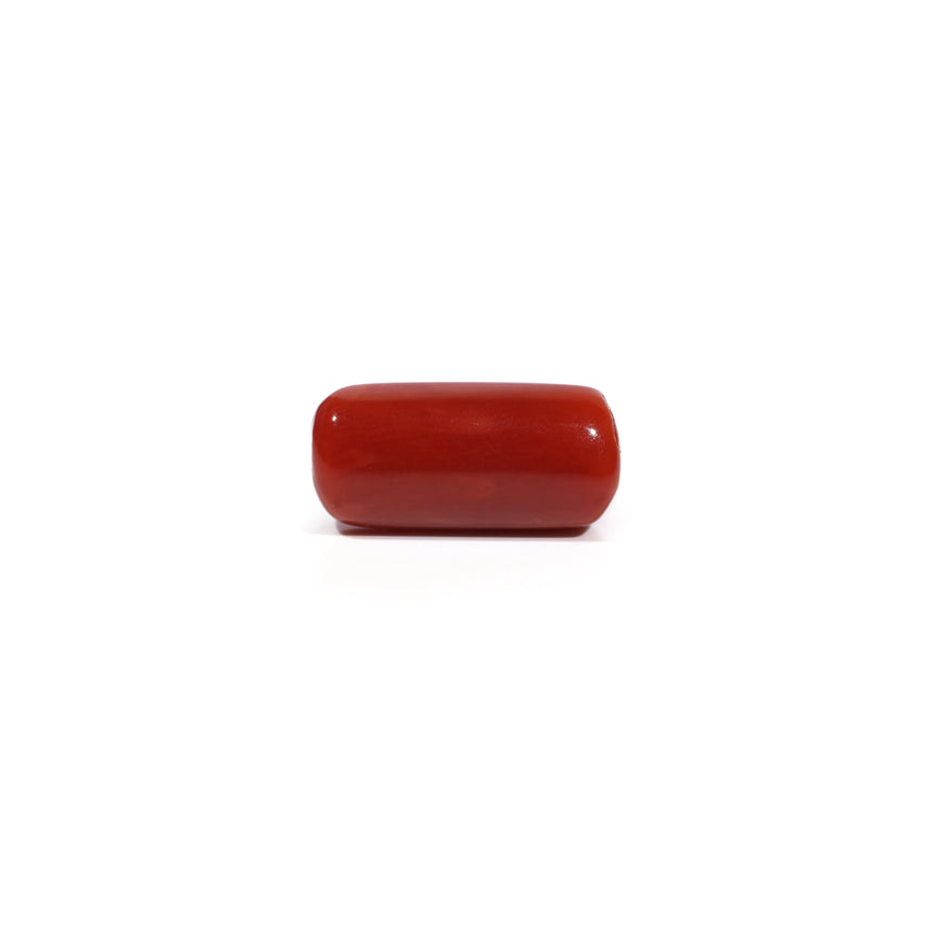 Red Coral - 5.14 Carat