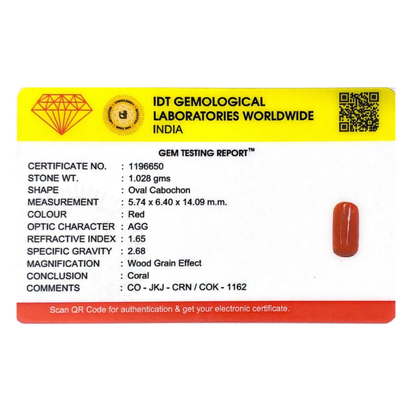 Red Coral - 5.14 Carat